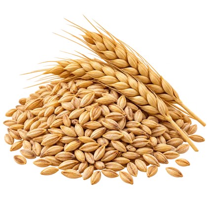 Cebada integral